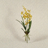 Haste Chuva De Ouro Amarelo – 70 cm