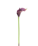 Calla Roxa – 71cm