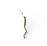 Cipó com Musgo – 105 cm (Verde)
