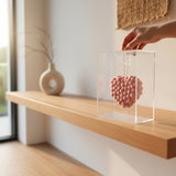 Caixa Acrílica c/ Coração Rosa Claro Pelúcia - 21x16cm