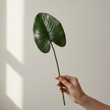 Folha Antúrio - 40cm