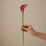 Haste Calla Pink Toque Real - 50 cm