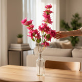 Haste Bougainvillea Pink - 1,10 m