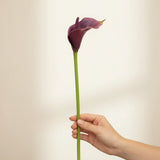 Calla Roxa – 71cm