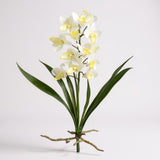 Haste Orquídea Dendrobium Branca – 50 cm