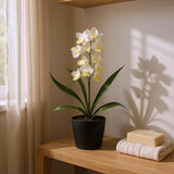 Haste Orquídea Dendrobium Branca – 50 cm