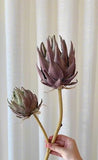 Haste Protea Outonada - 12x65cm