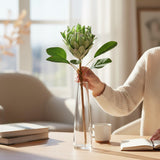 Haste Protea Flocked Toque Real (Verde) – 57cm