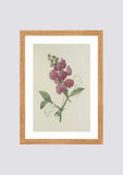 Quadro em canvas flores rosas II – 30x42cm