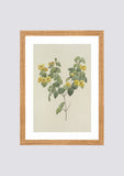 Quadro em canvas flores amarelas II – 30x42cm