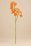 Haste Mini Orquídea Laranja - 42cm