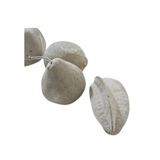 Carambola Coleção Concreto