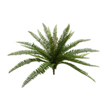 Buquê de Samambaia Permanente - 65x60cm