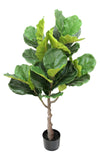Ficus Lyrata Toque Real - 1,10m